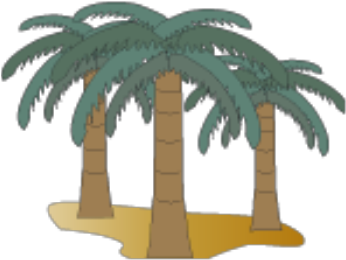 Smart Exchange Usa Group Of - Attalea Speciosa (420x333)