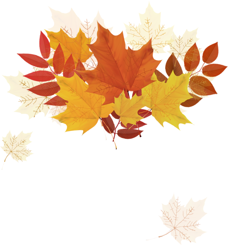 Autumn Leaf Color - Autumn Leaf Color (752x800)