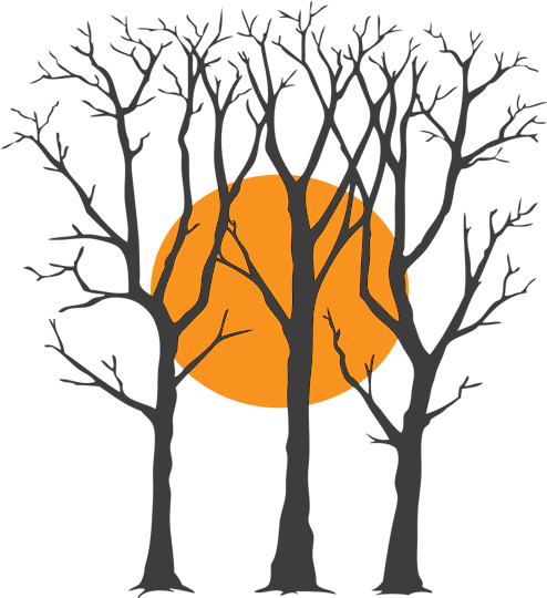 Bare Trees And Sun Wall Decal - Postage Stamp (800x550)