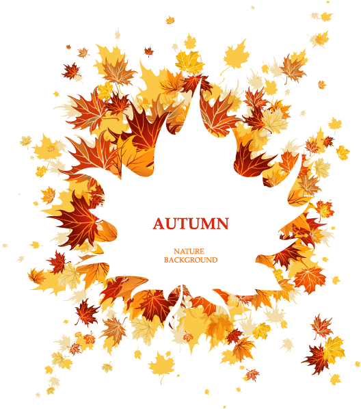 Autumn Leaf Color Maple Leaf - Autumn Leaf Color Maple Leaf (596x842)