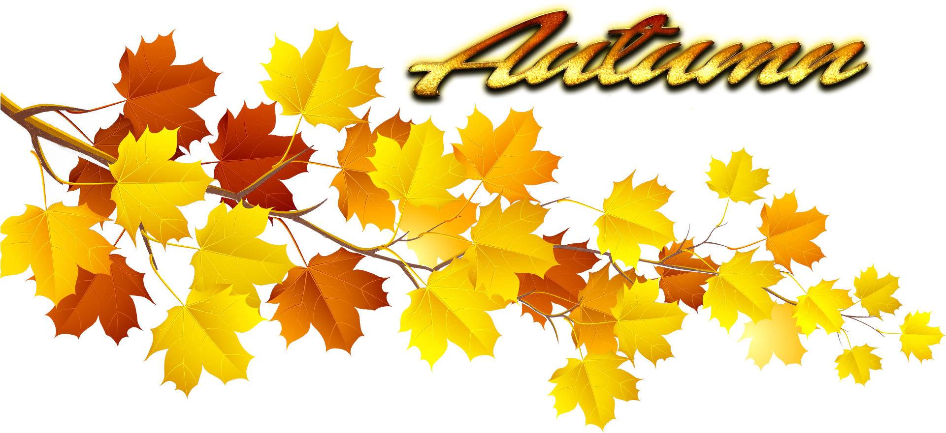 Autumn Leaves Png Pic - Autumn Leaf Png (1920x1200)