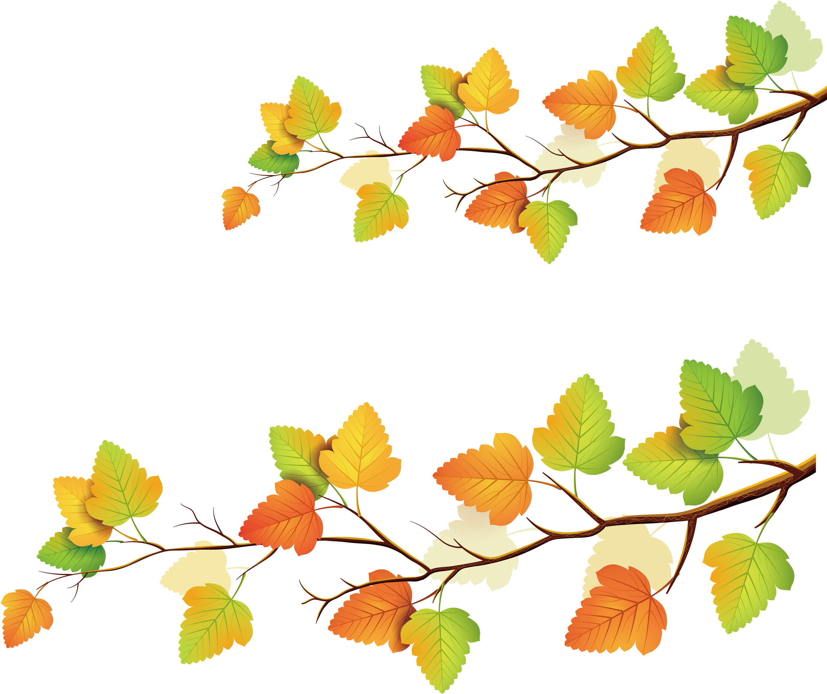 Autumn Leaf Color - Autumn Leaf Color (2917x2917)