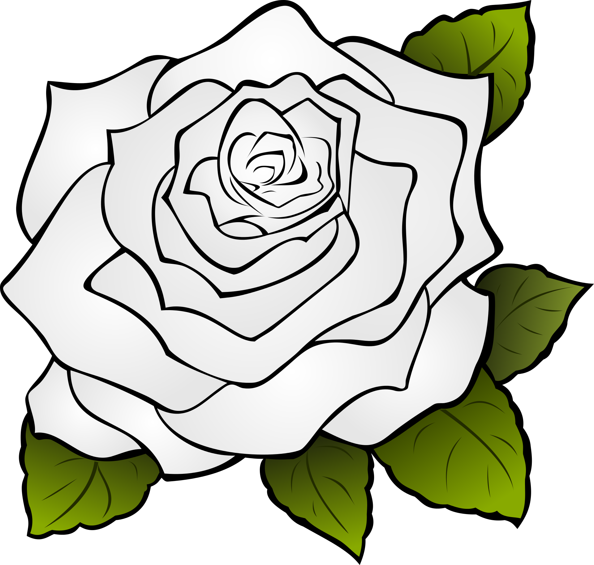 Rose Vector Art 8, Buy Clip Art - Transparent Background Rose Outline (1920x1829)