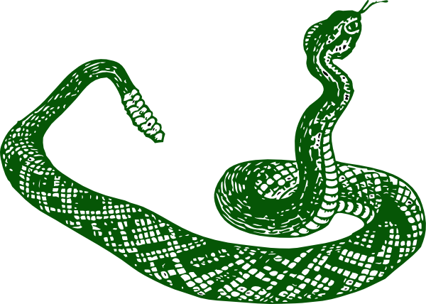 Dark Green Snake Clip Art - Green Snake Transparent Clipart (600x428)