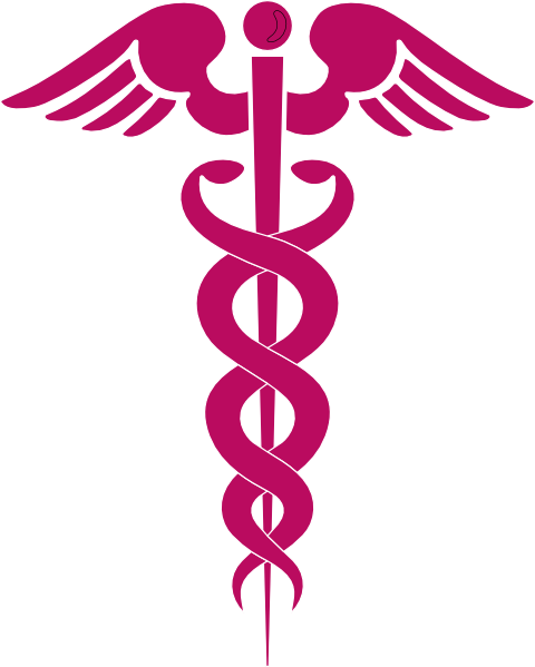 Health Services Logo (480x599)