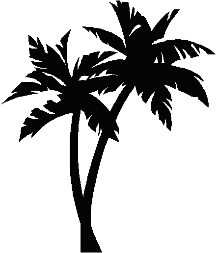 Palm Tree No Background Free Clipart Images 2 U2013 - Logos With Palm Trees (442x516)