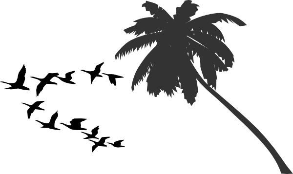 Orange Palm Tree Logo (600x357)
