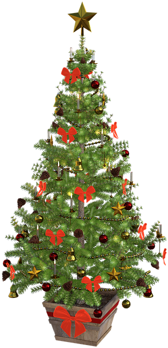 Christmas Tree, Christmas, Lights - Free Or Public Domain Christmas Tree (576x720)