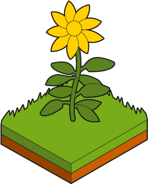 Composting At Home &mdash Site - Sunflower (436x436)