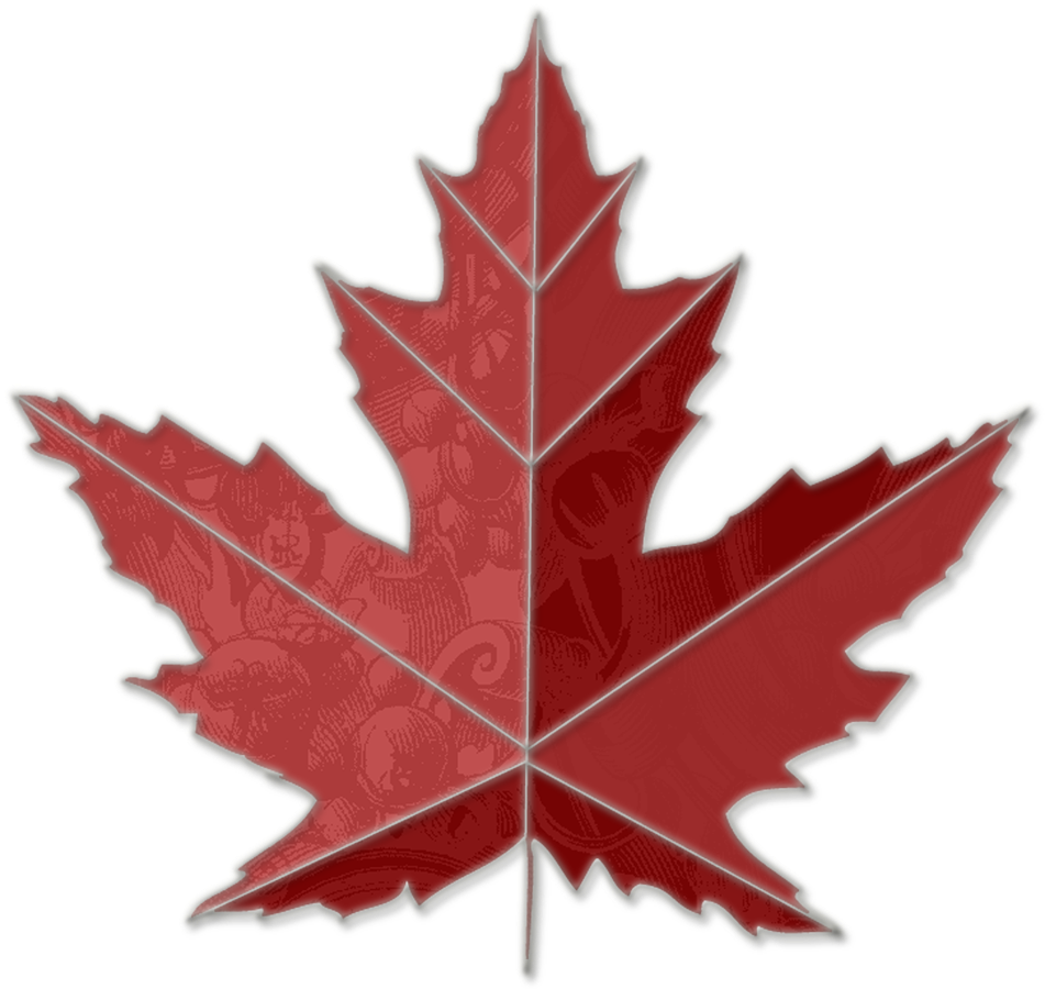 Red Maple Leaf Clip Art Maple Leaf - Red Maple Leafs Png (1000x1000)