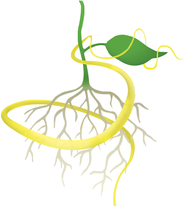Our Aged Composted Humic Rich Mixture Of Mango, Kukui - Illustration (400x404)