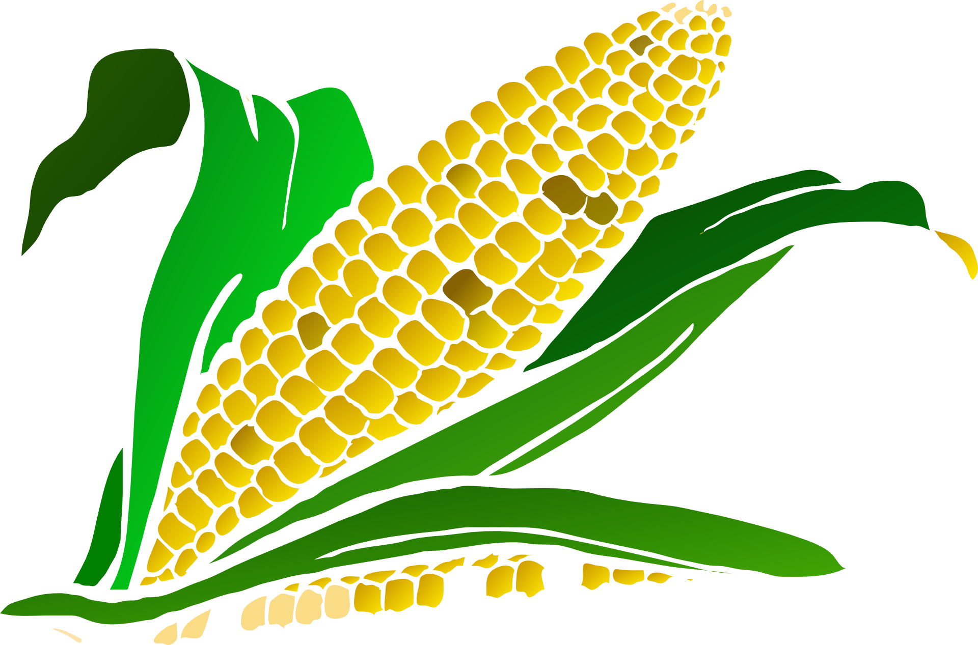 Corn Gradient Clip Art - Corn Clipart Png (1920x1267)
