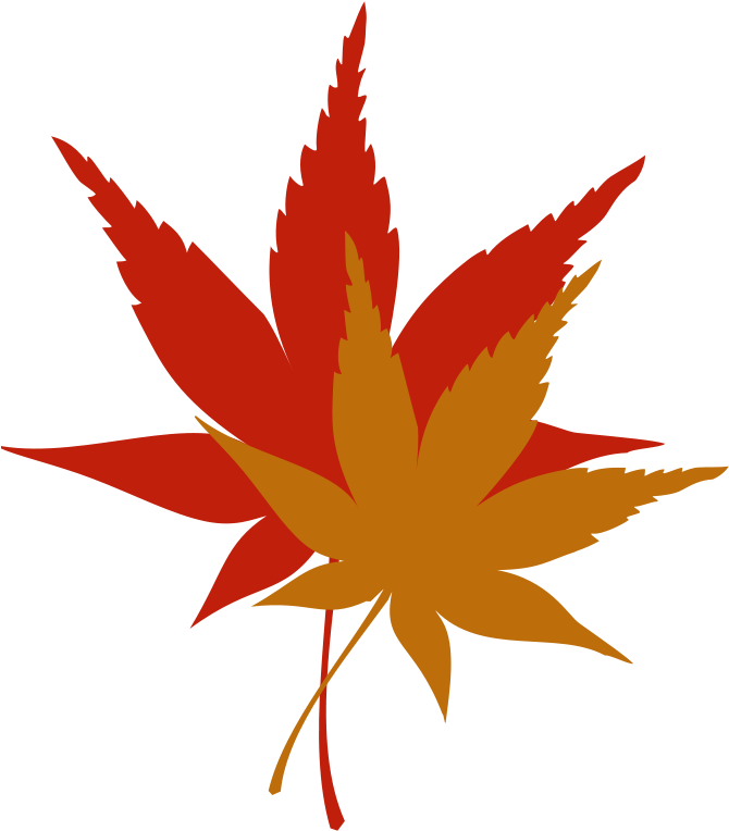 Japanese Maple Leaf Free Clip - Fall Leaves Clip Art (698x800)