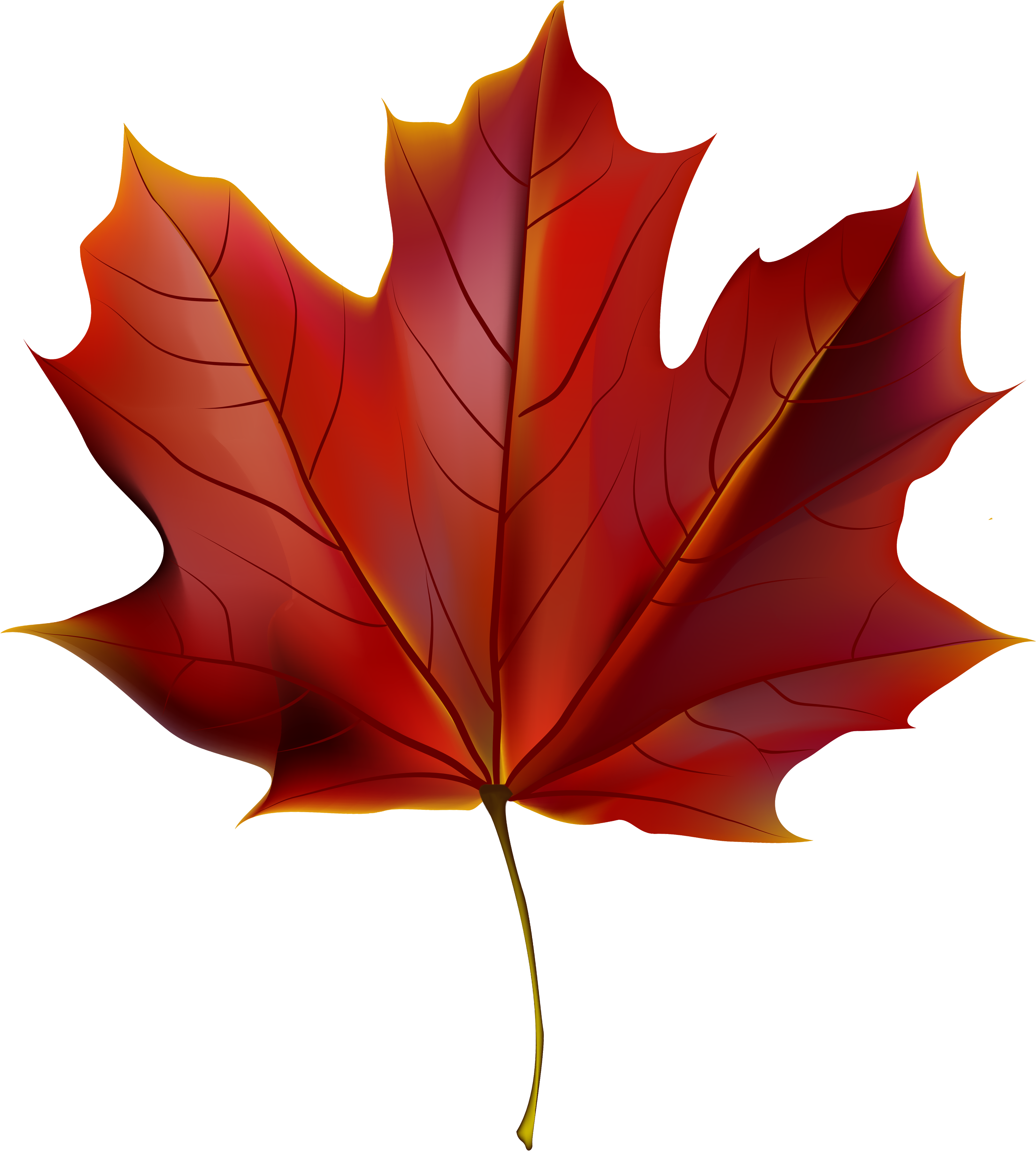 Beautiful Red Autumn Leaf Png Clipart Image - Red Autumn Leaves Clip Art (3281x3592)
