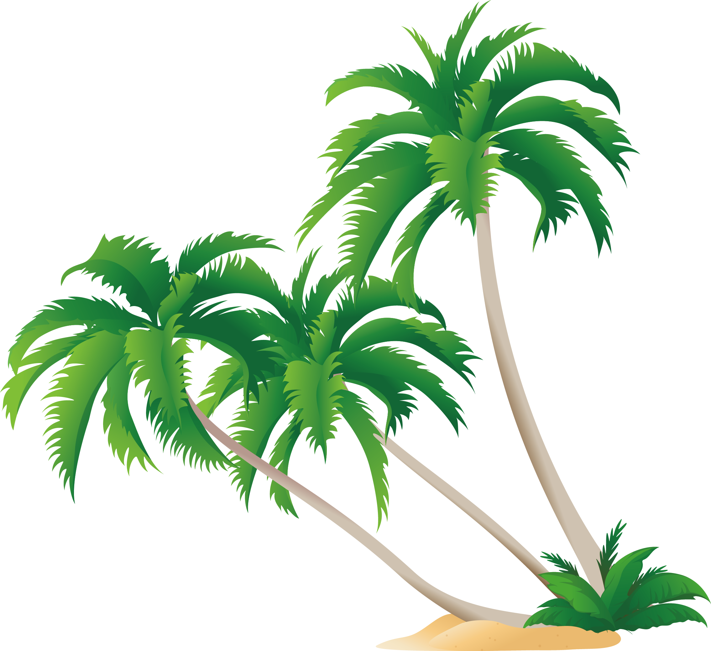 High-definition Video Display Resolution Wallpaper - Palm Tree Free Vector Png (2269x2078)