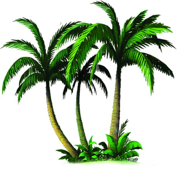 Palm Tree Vector Png - Palmiye Ağacı Png (606x600)