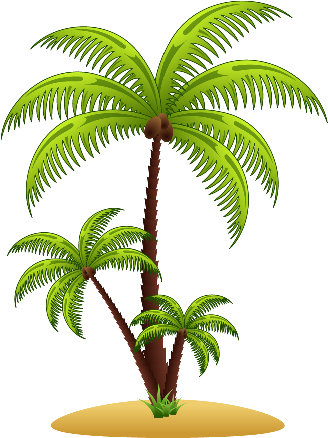 Arecaceae Euclidean Vector Tree Illustration - Arecaceae Euclidean Vector Tree Illustration (886x1063)