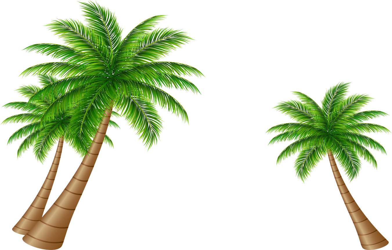 Asymmetric Coconut Tree Vector - Coconut (1410x960)