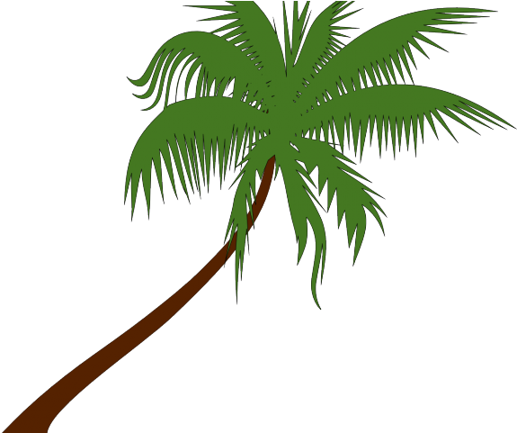 Palm Tree Vector Art - Coconut Tree Clip Arts (640x480)