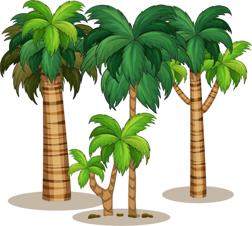 Coconut Milk Tree - Coconut Milk Tree (869x780)