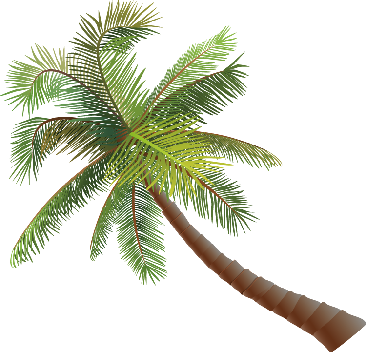Asian Palmyra Palm Coconut Euclidean Vector - Coconut (750x721)