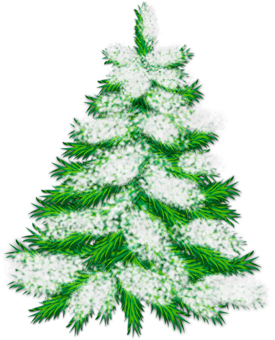Snowy Tree Clip Art - Snowy Tree Clip Art (559x706)