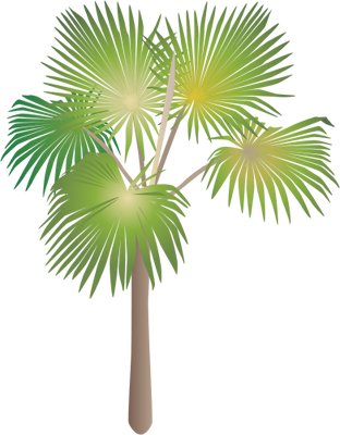 Interesting With Png Tropical Trees - Palm Vector (312x400)