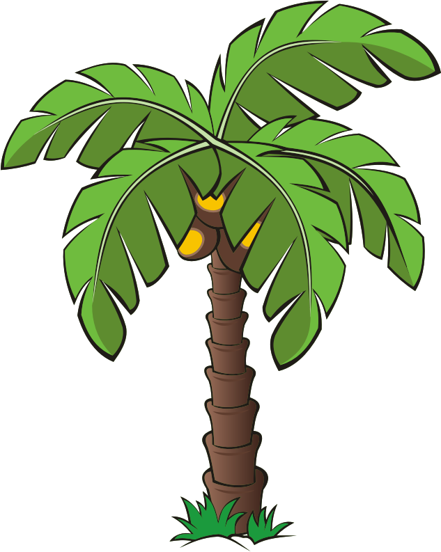 Palm Tree Vector Clipart Download Palm Tree Vector - Tree (633x793)