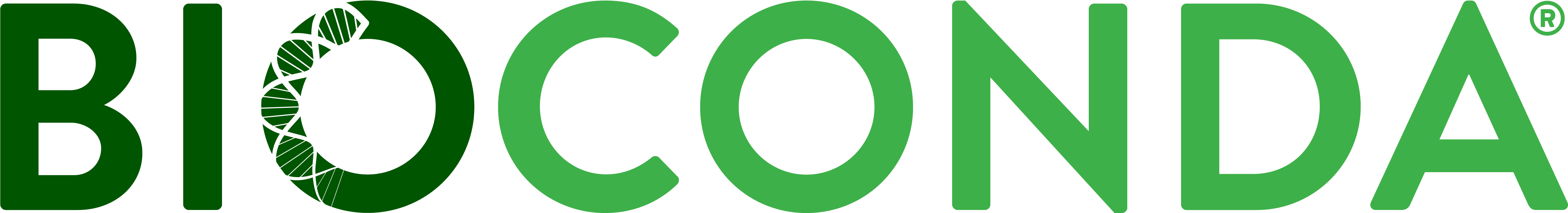 Rio Shine On The Album (7736x1049)