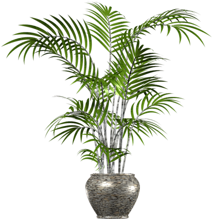 Clip Art Palm Tree, Palm Tree In Pot Png Transparent - Palm Tree In Pot Png (500x480)
