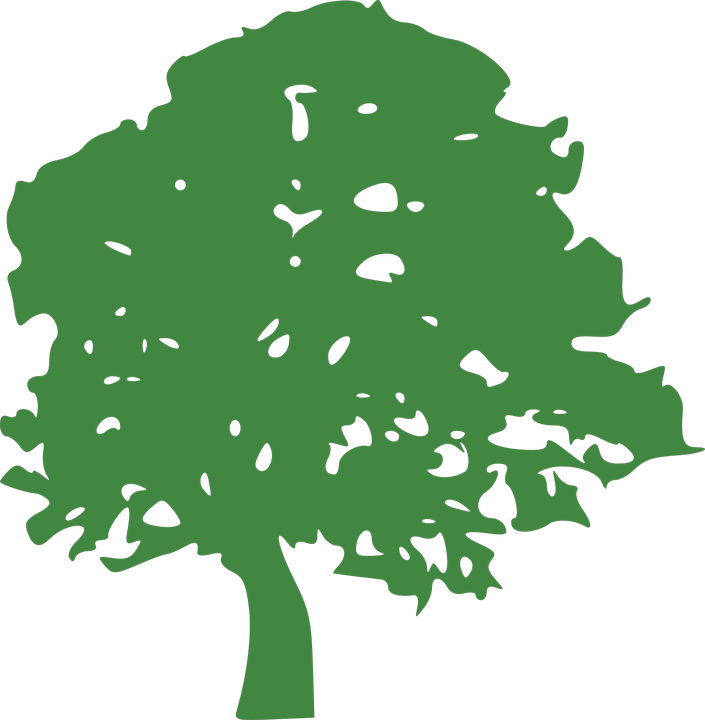 Best & Most Affordable Tree Removal Redlands - Tree Clipart Green (705x720)
