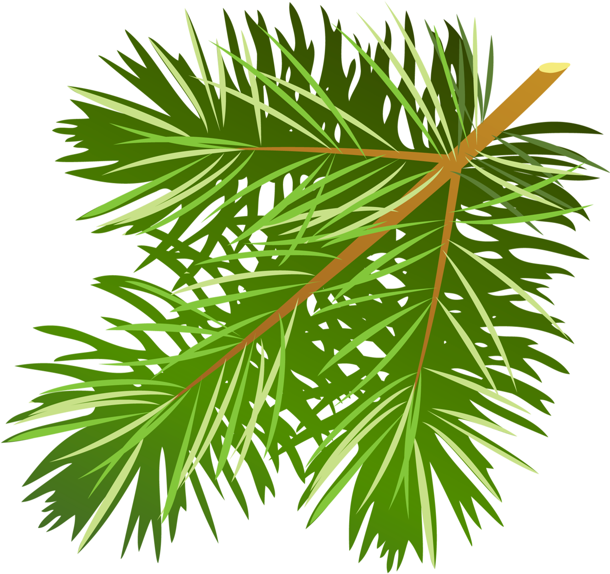 Pine Tree Branch Clipart - Pine Leaves Clip Art (1265x1215)