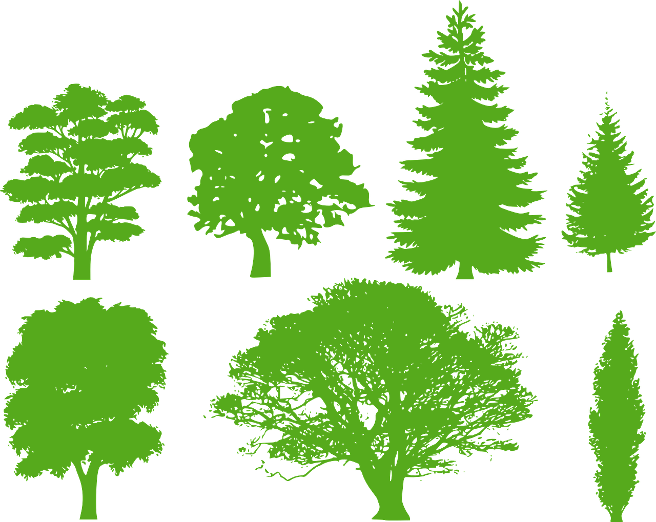 Trees Silhouette Variety Png Image - Pine Tree Silhouette (1280x1019)