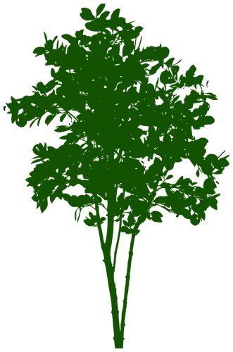 Small Tree Symbol - Small Tree Png (331x500)