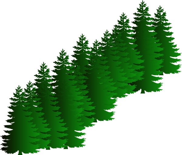 Evergreen Cluster Clip Art - Evergreen Trees Clipart (600x513)