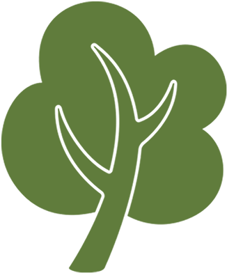 Certified Arborists - Palm Harbor (400x400)