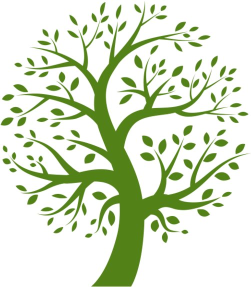 Jke Contracting & Tree Service - Organic Tree Logo (576x576)