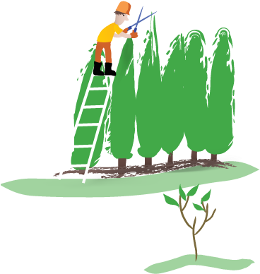 Toronto Tree Service Hedge Care Shrub Care - Shrub (375x469)