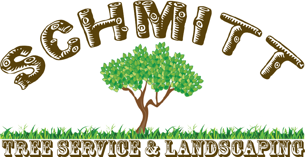 Professional Tree Removal And Landscaping Services - Tree Service And Landscaping Clipart (975x517)