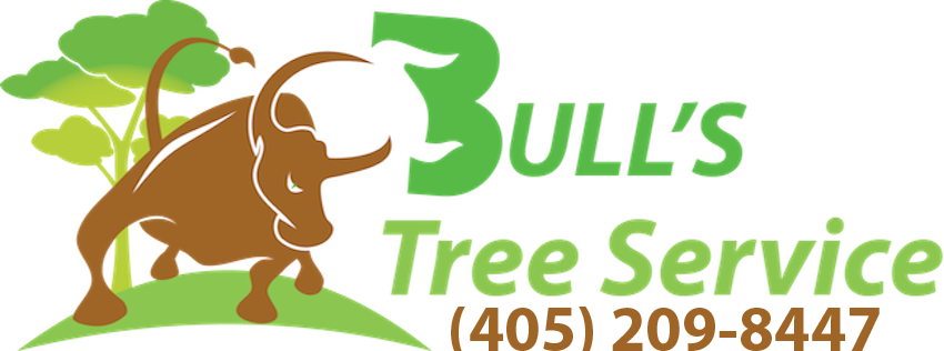 Tree Service Oklahoma City - Oklahoma (850x316)