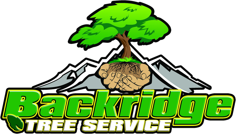 Chainsaw Clipart Tree Service - Backridge Tree Service (800x454)