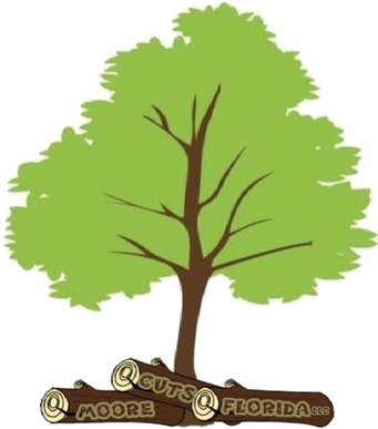 Cut Tree Clip Art (341x387)