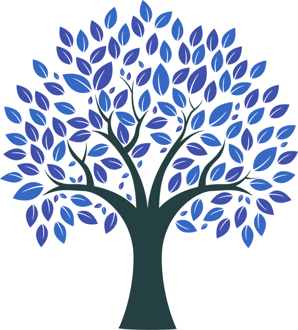 Support American Forests - Картинки Без Фона Дерево (587x650)