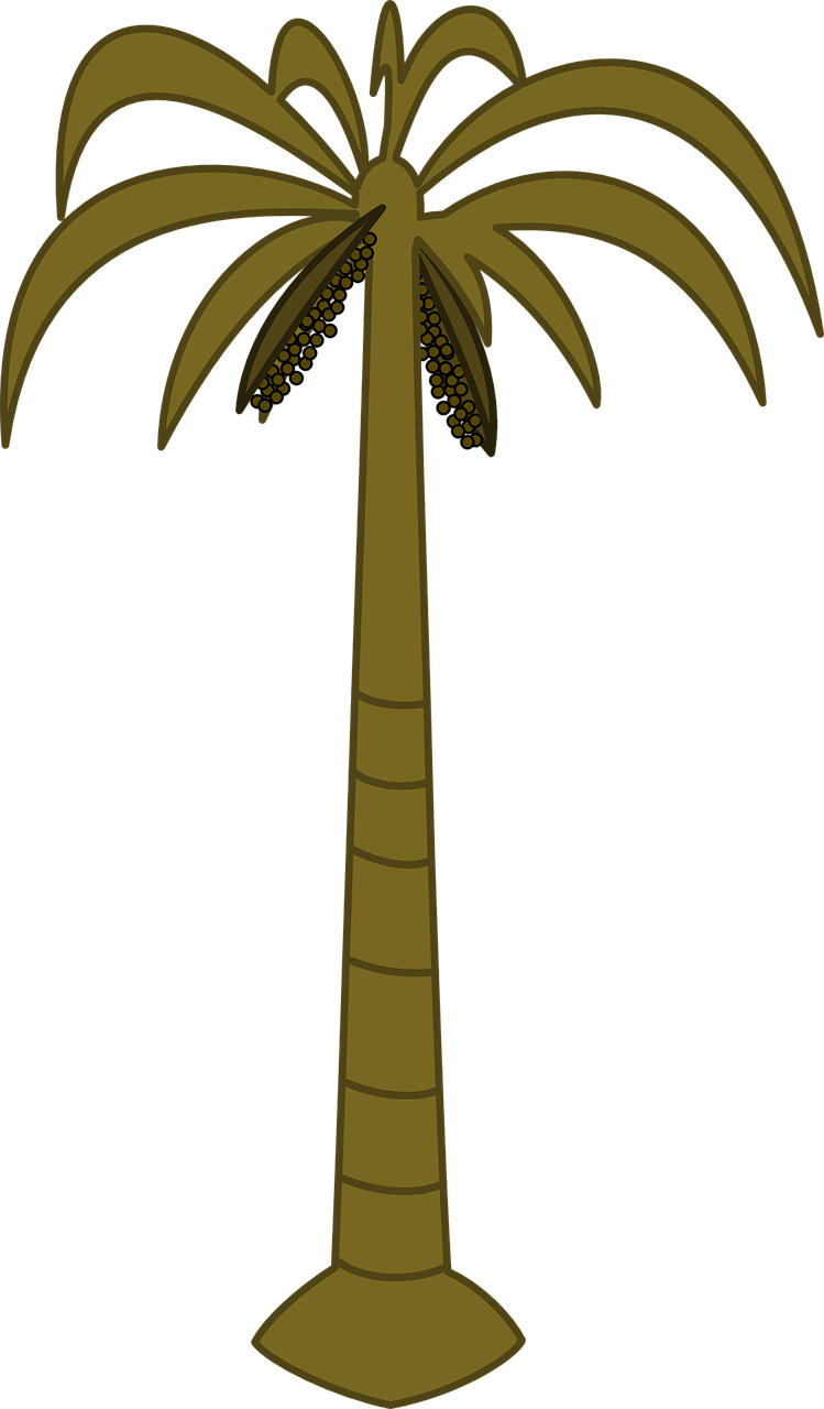 Palm Tree Tropical Tall Png Image - Palm Tree Clip Art (749x1280)