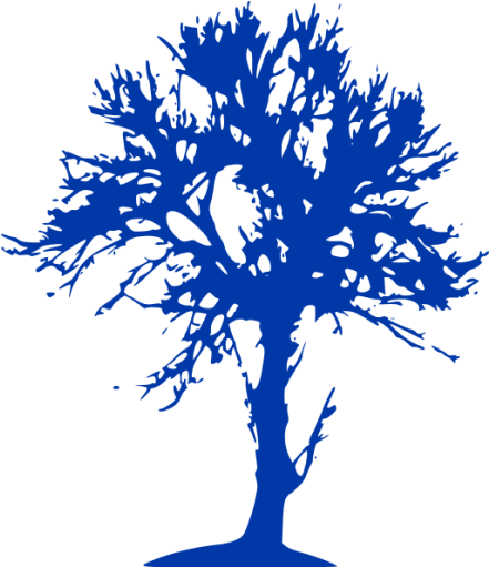 Art Print: Tree Of Wisdom 2 By Sheldon Lewis : 13x13in (512x512)