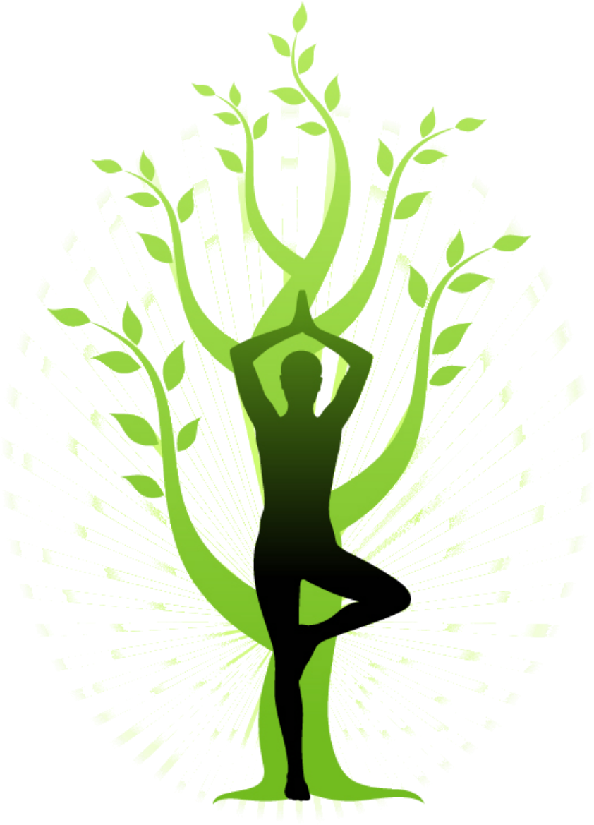 Yoga Tree Png (1040x1271)