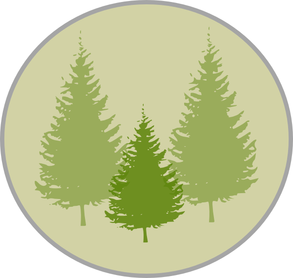 Fir Tree Clipart Three Pine - Pine Tree Silhouette Vector (600x570)