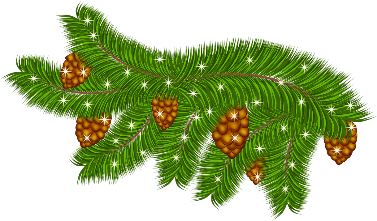 Transparent Pine Branch With Pine Cones Png Clipart - Transparent Pine Branch With Pine Cones Png Clipart (1226x746)