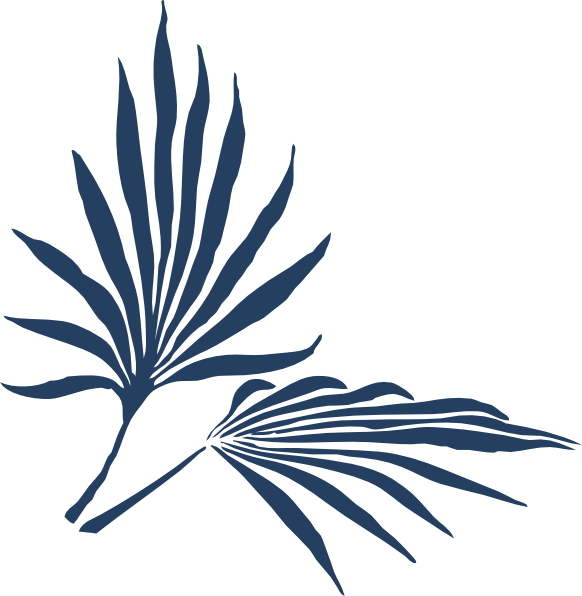 Sago - Clipart - Palm Frond Clip Art (582x596)