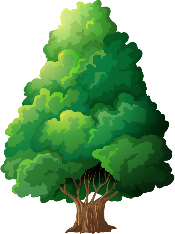 Paisagens - Tree With A Face Clipart (600x800)